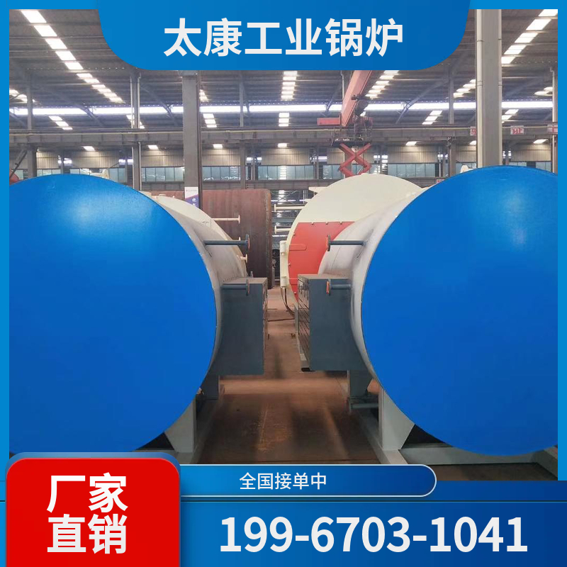 博尔塔拉生物质导热油锅炉